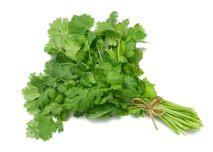 Swaad hybrid coriander
