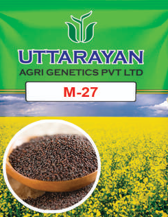 M-27 mustard