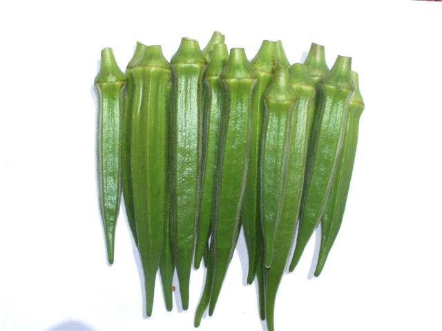 Sakira hybrid okra
